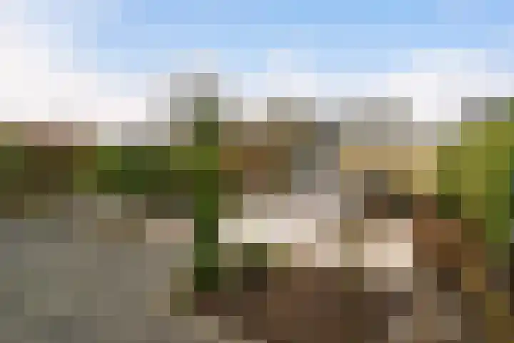 Leekeerd 26 Delfgauw thumbnail 19