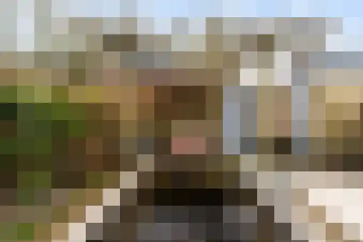 Leekeerd 26 Delfgauw thumbnail 20