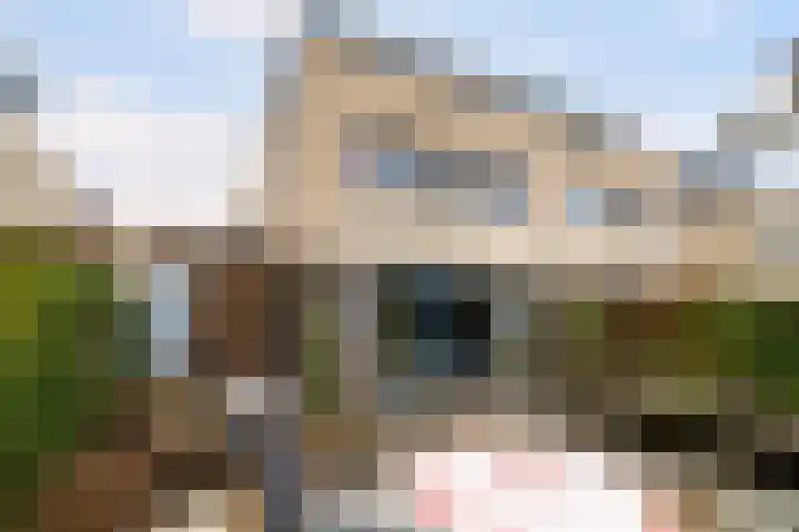Leekeerd 26 Delfgauw thumbnail 21