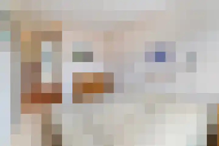 Leekeerd 26 Delfgauw thumbnail 24