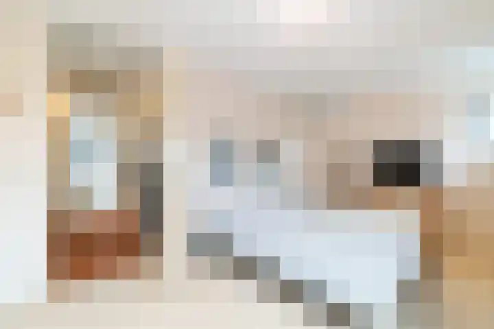 Leekeerd 26 Delfgauw thumbnail 27