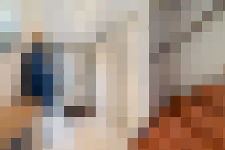 Leekeerd 26 Delfgauw thumbnail 7