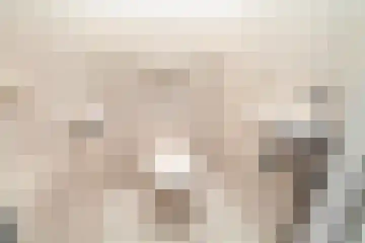 Leekeerd 26 Delfgauw thumbnail 8