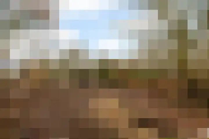 Leemdobben 14 Sellingen thumbnail 26