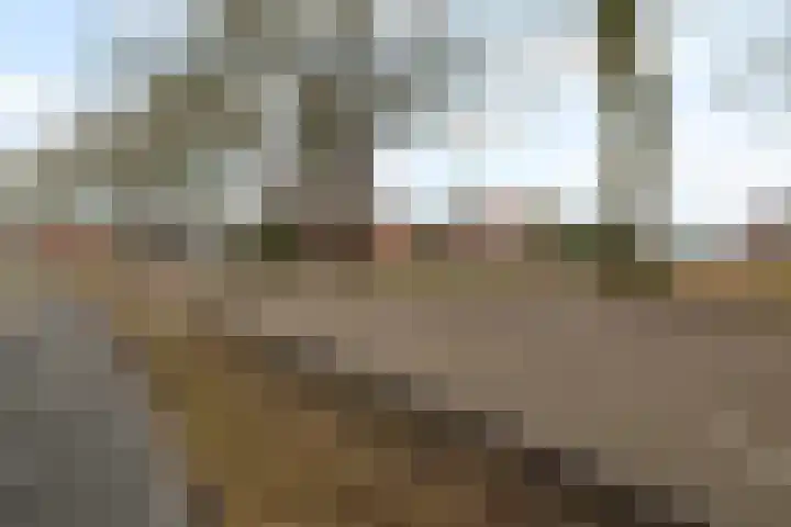 Leemdobben 14 Sellingen thumbnail 4