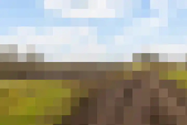 Leemdobben 14 Sellingen thumbnail 43