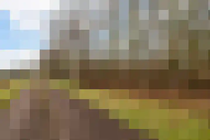 Leemdobben 14 Sellingen thumbnail 44
