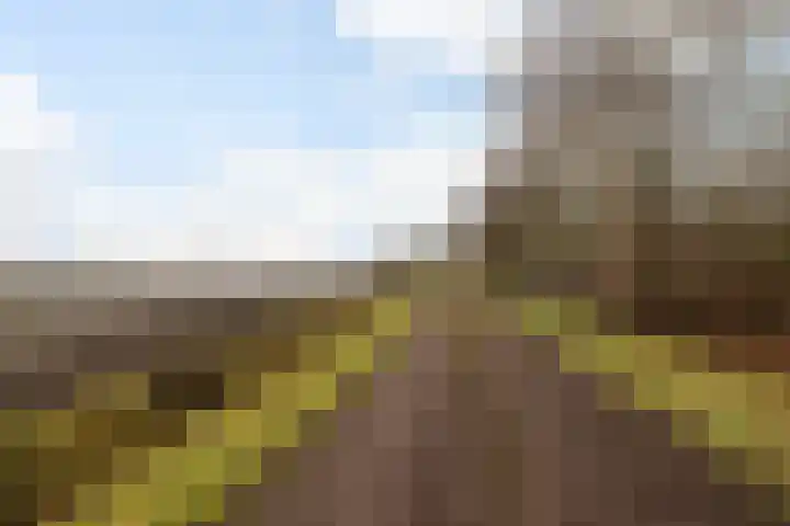 Leemdobben 14 Sellingen thumbnail 45