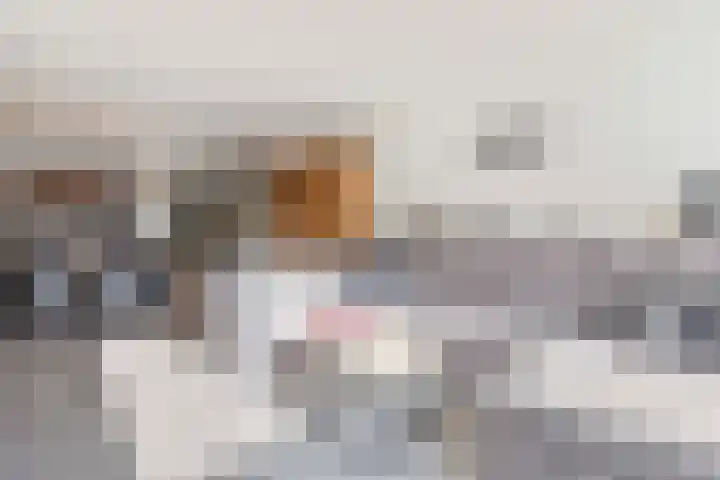 Leemkoel 6 Landgraaf thumbnail 15