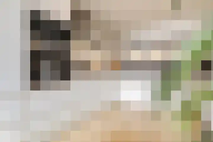 Leemkoel 6 Landgraaf thumbnail 21
