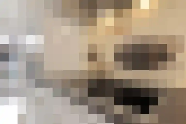 Leemkoel 6 Landgraaf thumbnail 22