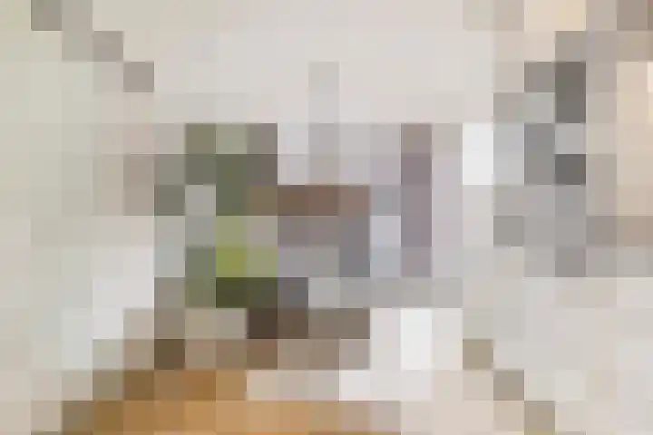 Leemkoel 6 Landgraaf thumbnail 24