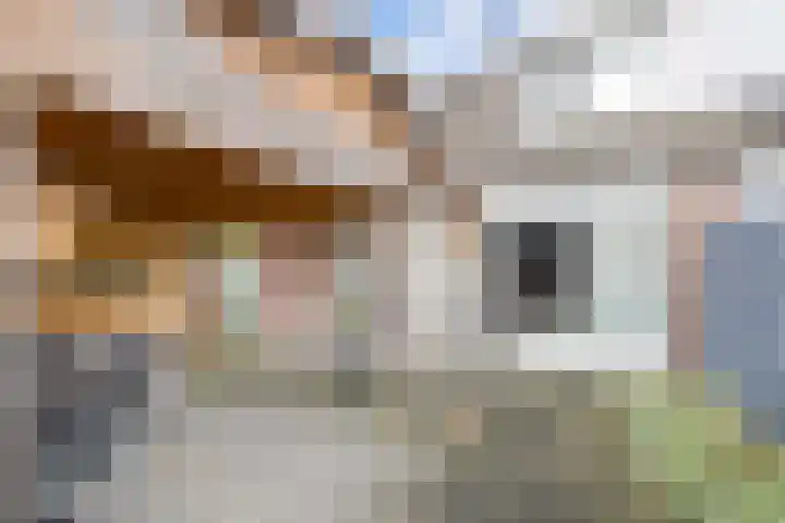 Leemkoel 6 Landgraaf thumbnail 27