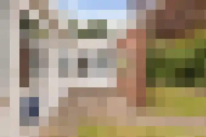 Leemkoelen 31 Emmen thumbnail 11