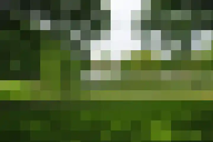 Leemkoelen 31 Emmen thumbnail 33