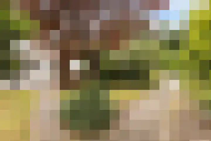 Leemkoelen 31 Emmen thumbnail 8