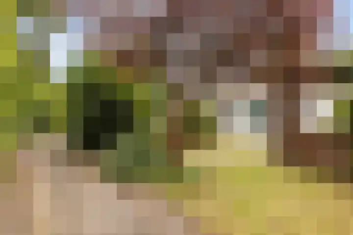 Leemkoelen 31 Emmen thumbnail 9