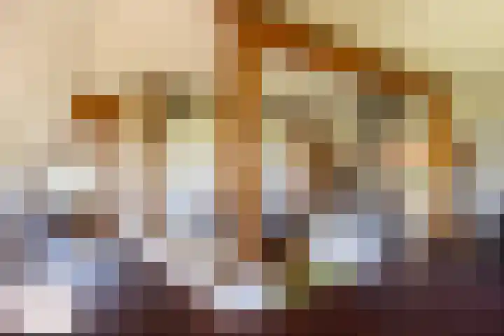 Leemkuilsweg 1 Bathmen thumbnail 15