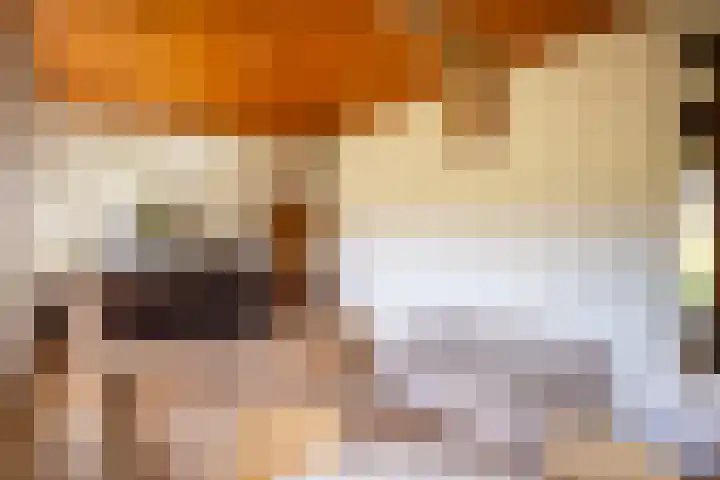 Leemkuilsweg 1 Bathmen thumbnail 22