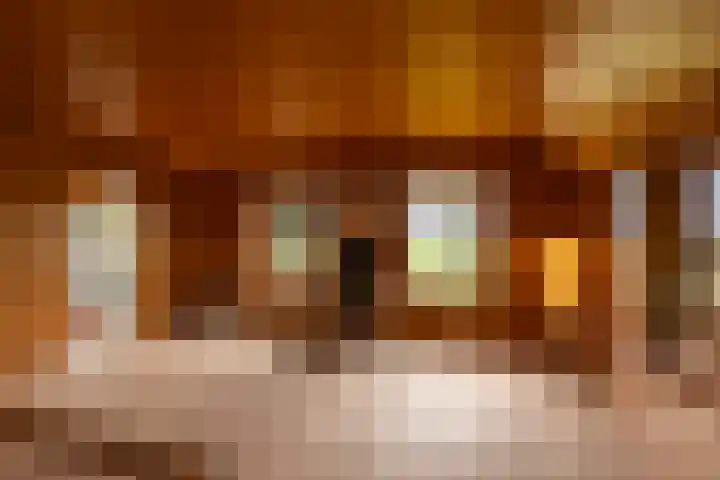 Leemkuilsweg 1 Bathmen thumbnail 30