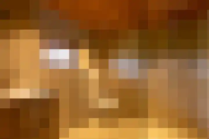Leemkuilsweg 1 Bathmen thumbnail 36