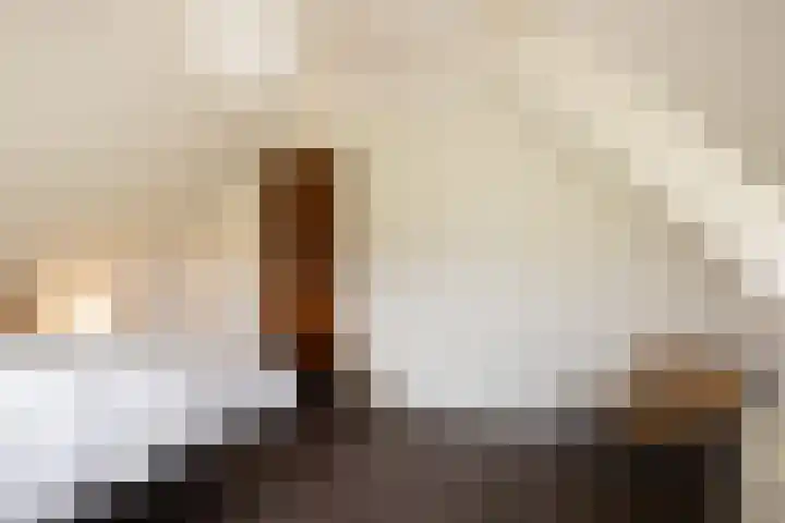 Leemkuilsweg 1 Bathmen thumbnail 46