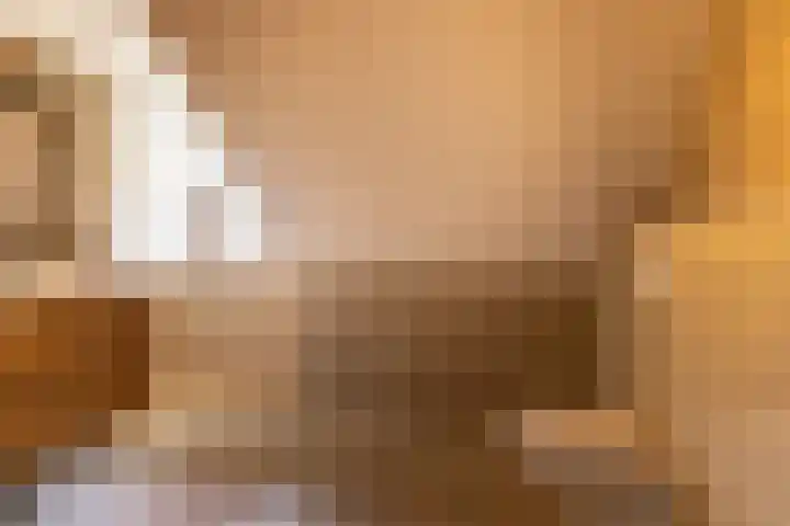 Leemkuilsweg 1 Bathmen thumbnail 48