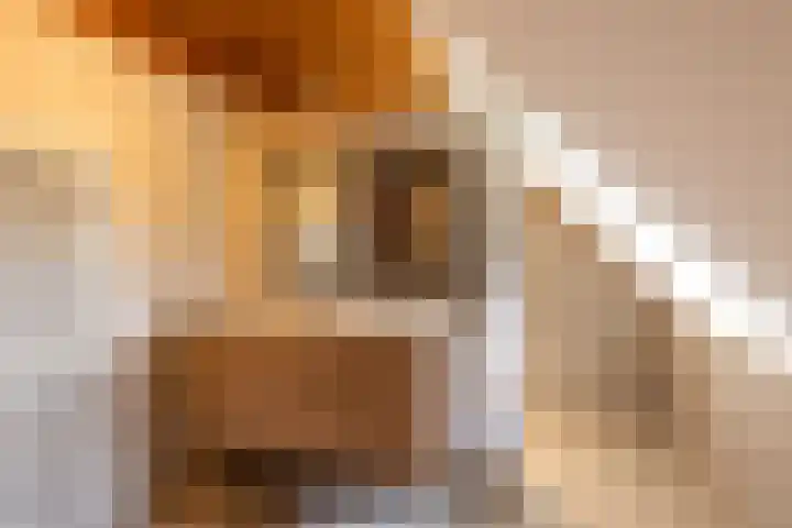 Leemkuilsweg 1 Bathmen thumbnail 50