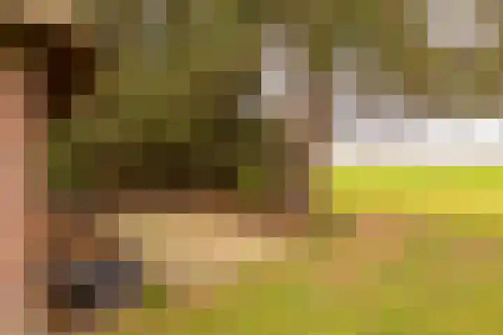 Leemkuilsweg 1 Bathmen thumbnail 58