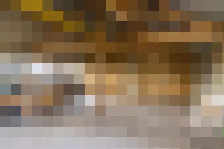 Leemkuilsweg 1 Bathmen thumbnail 61