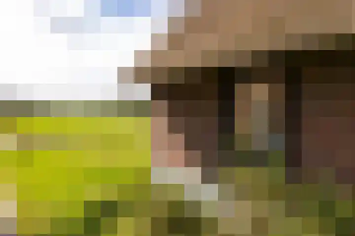 Leemkuilsweg 1 Bathmen thumbnail 62
