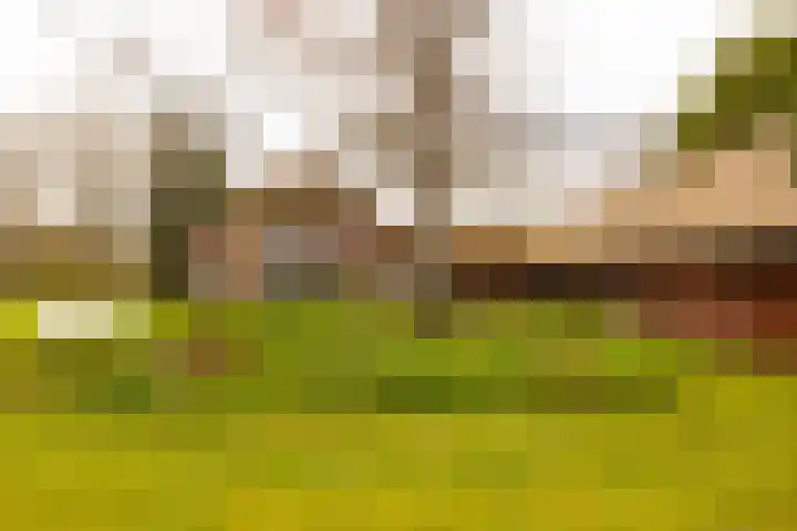Leemkuilsweg 1 Bathmen thumbnail 63