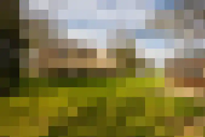 Leemkuilsweg 1 Bathmen thumbnail 66