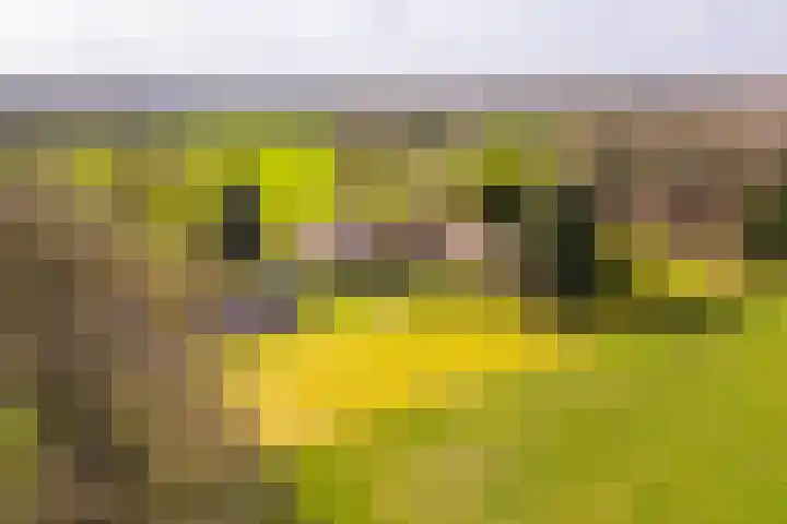 Leemkuilsweg 1 Bathmen thumbnail 69