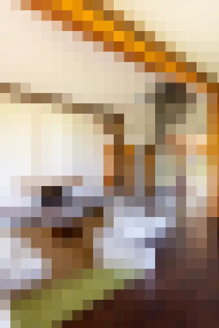 Leemkuilsweg 1 Bathmen thumbnail 7