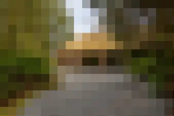 Leemkuilsweg 1 Bathmen thumbnail 72