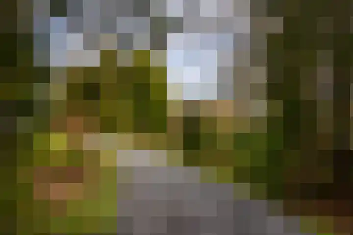 Leemkuilsweg 1 Bathmen thumbnail 73