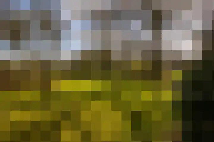 Leemkuilsweg 1 Bathmen thumbnail 76