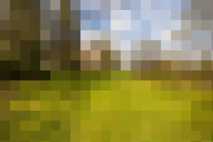 Leemkuilsweg 1 Bathmen thumbnail 77