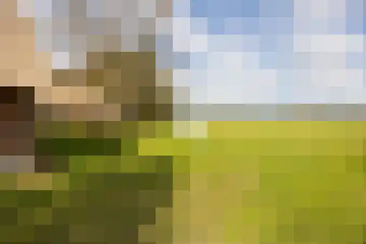 Leemkuilsweg 1 Bathmen thumbnail 78