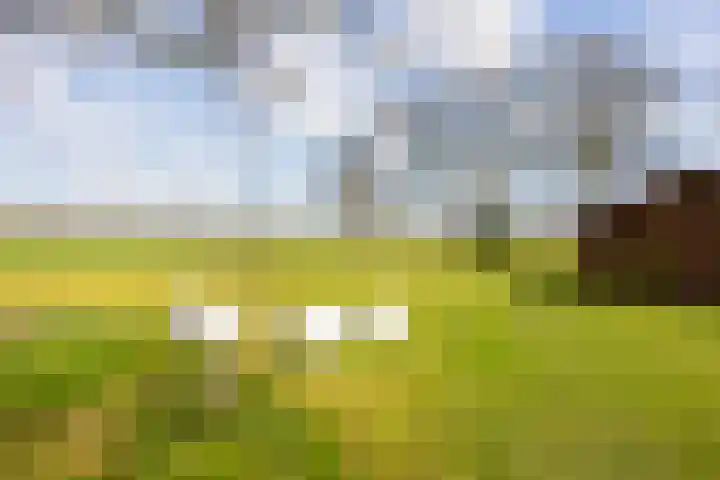 Leemkuilsweg 1 Bathmen thumbnail 79