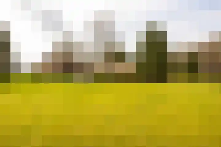 Leemkuilsweg 1 Bathmen thumbnail 80