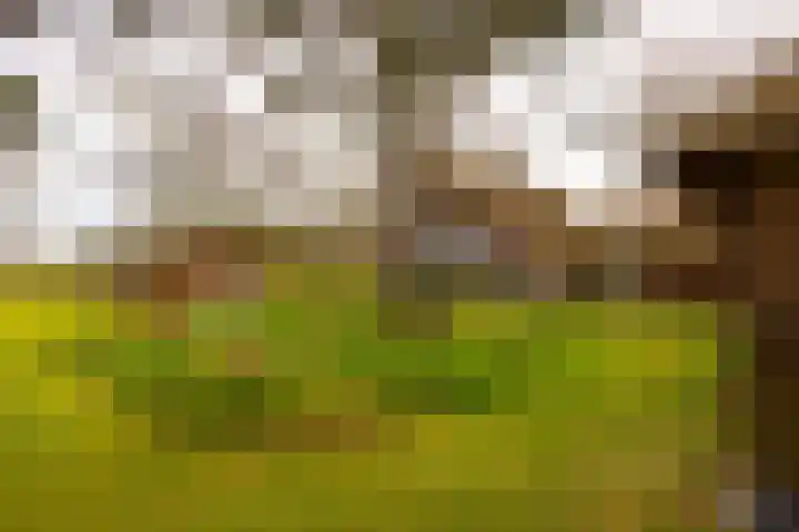 Leemkuilsweg 1 Bathmen thumbnail 81