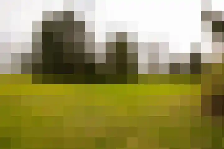 Leemkuilsweg 1 Bathmen thumbnail 83