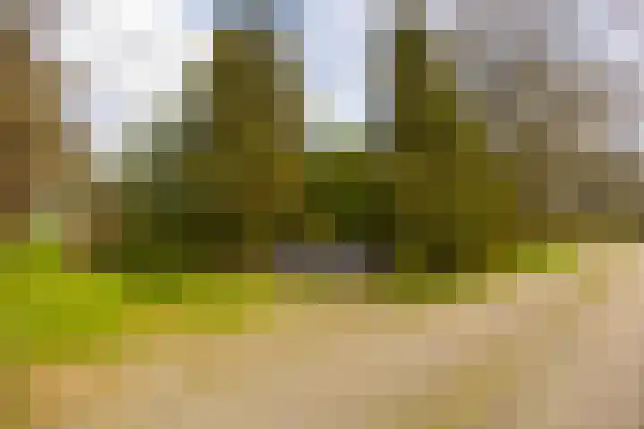 Leemkuilsweg 1 Bathmen thumbnail 84