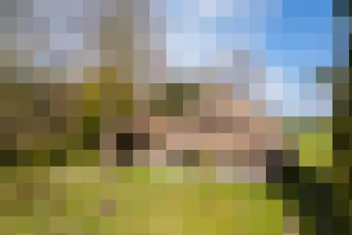Leemkuilsweg 1 Bathmen thumbnail 85