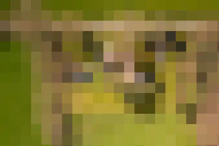Leemkuilsweg 1 Bathmen thumbnail 86