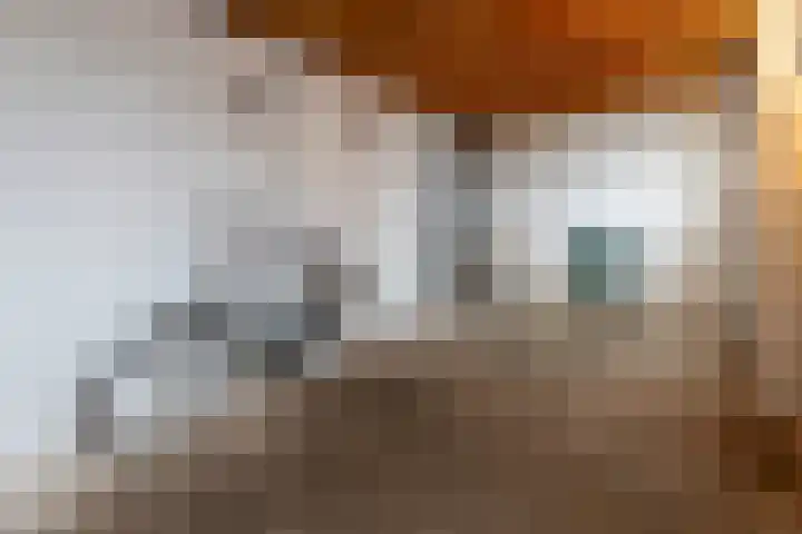 Leempad 6 Ossendrecht thumbnail 39