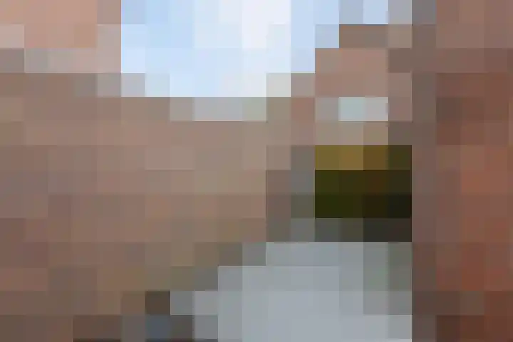 Leempad 6 Ossendrecht thumbnail 45