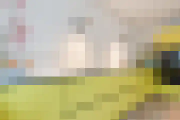 Leemveld 134 Assen thumbnail 12